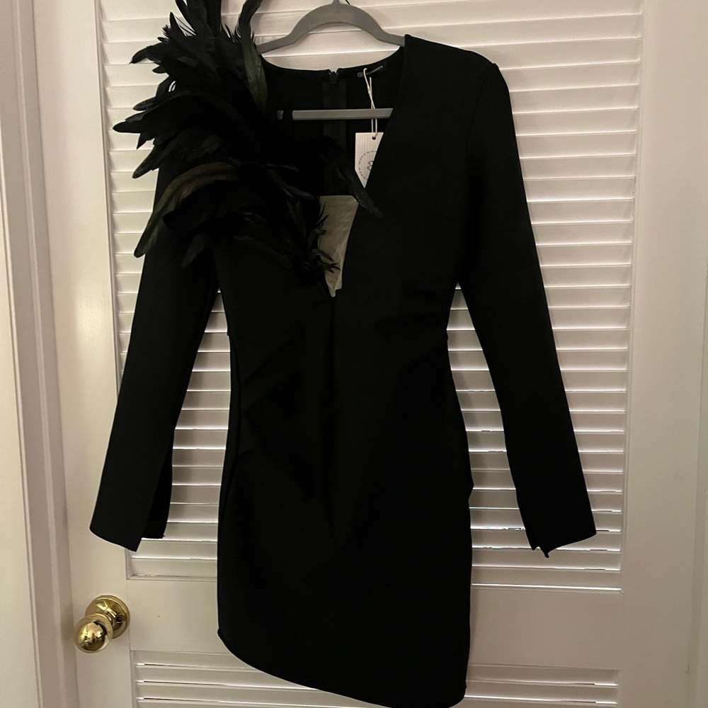 Bella Barnett Black dress with feather neckline